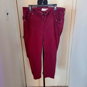 Cranberry pants